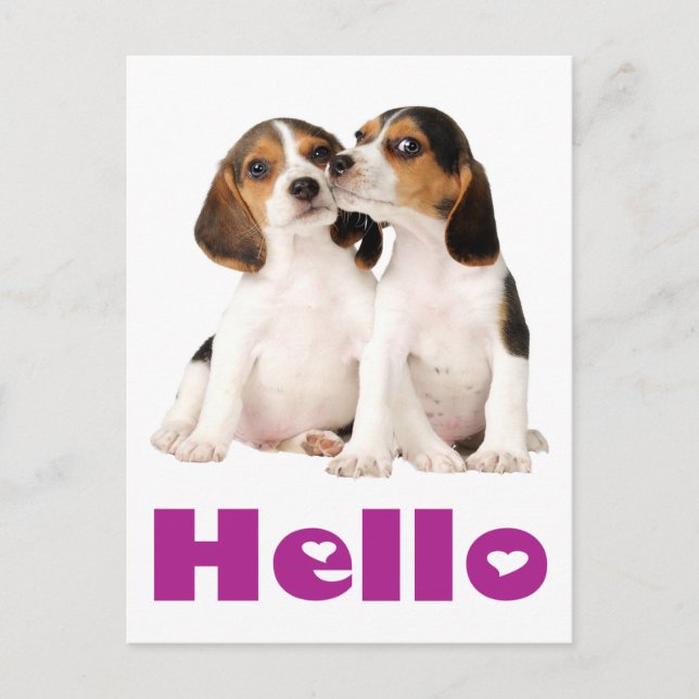 Hola Beagle Puppy Dog Tarjeta de correo de saludo (Anverso)
