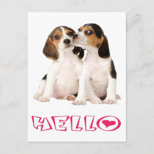 Hola Cachorro de Beagle Tarjeta Postal de Saludo