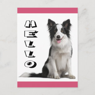 Hola cachorro de Border Collie Tarjeta postal