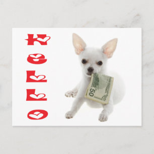 Hola Cachorro de Chihuahua Tarjeta Postal