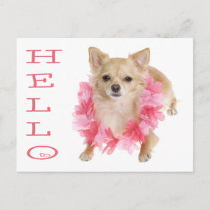 Hola Cachorro de Chihuahua Tarjeta Postal