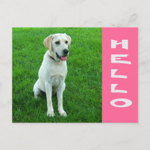 Hola cachorro de Labrador Retriever Tarjeta postal