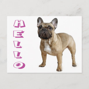 Hola cachorro de perro Bulldog Francés Tarjeta Pos