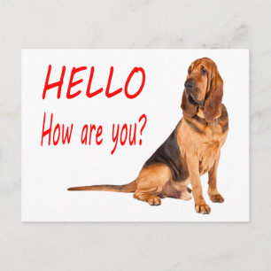 Hola cachorro de sabueso Tarjeta postal de saludo