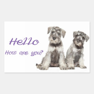 Hola Cachorro de Schnauzer Miniatura etiqueta tick