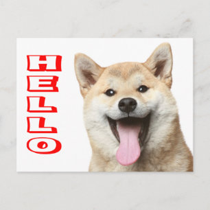 Hola cachorro de Shiba Inu Tarjeta postal de salud