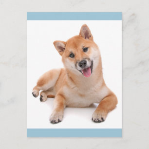 Hola cachorro de Shiba Inu Tarjeta postal de salud