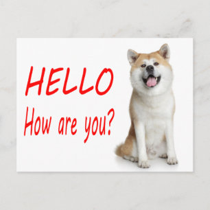 Hola cachorro de Shiba Inu Tarjeta postal de salud