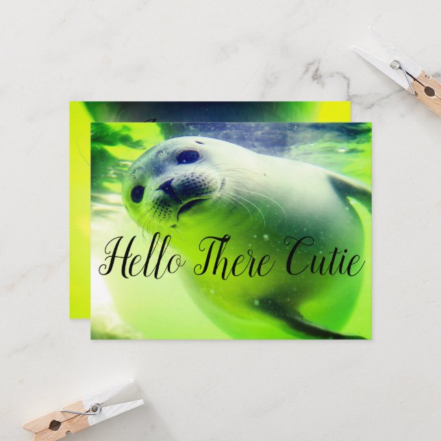 Hola, Cutie (Anverso/Reverso In Situ)