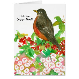 Hola de Connecticut American Robin State Bird