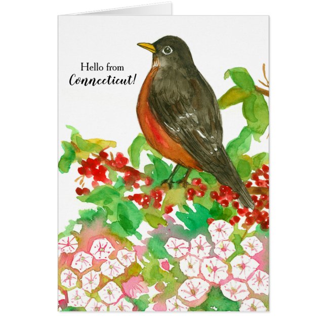 Hola de Connecticut American Robin State Bird (Frente)