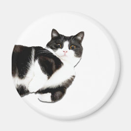 "Hola" de Manchester. Imán