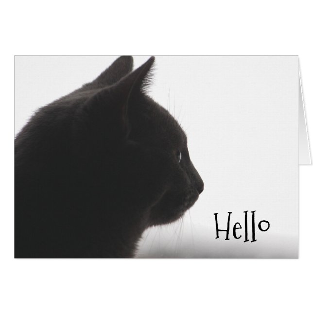 Hola De Un Gato Gatito (Anverso (Horizontal))