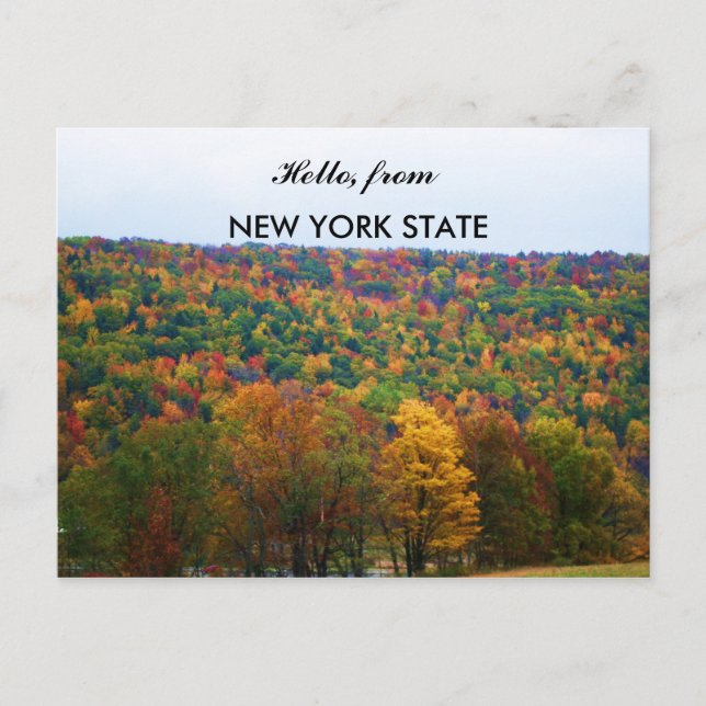 HOLA DEL ESTADO DE NUEVA YORK EN LA postal DEL OTO (Anverso)