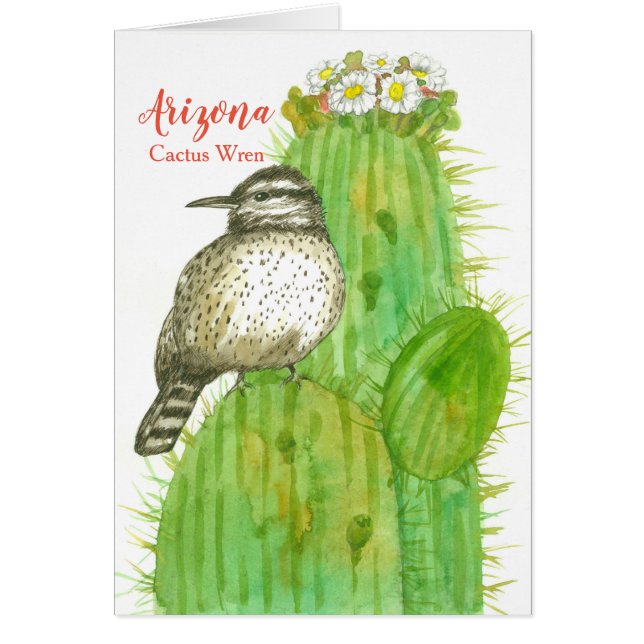 Hola Desde Arizona Cactus Wren Saguaro (Frente)