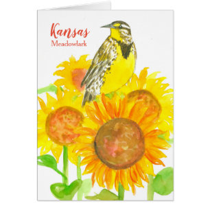 Hola desde Kansas Sunflower Wildflower Meadowlark