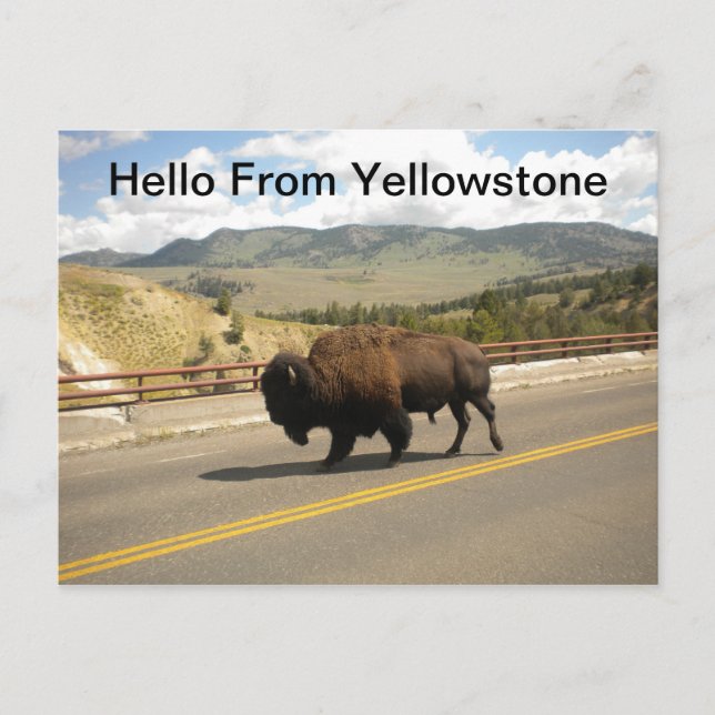 Hola desde la postal de Yellowstone (Anverso)