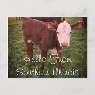 Hola desde la postal sur de Illinois