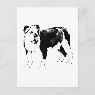 Hola en tinta, Perro Postal