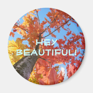 ¡Hola Hermosa! imán Hojas de árbol de otoño colori