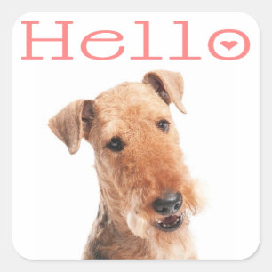 Hola / Hola Cachorro Airedale Pegatina / Etiqueta