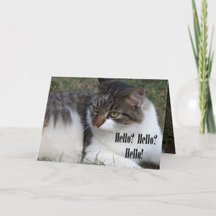 ¿Hola? ¿Hola? ¡Hola! Tarjetas (del gato)