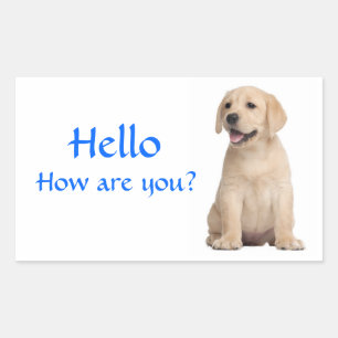 Hola / Hola Pegatinas de Perro Cachorro Labrador R