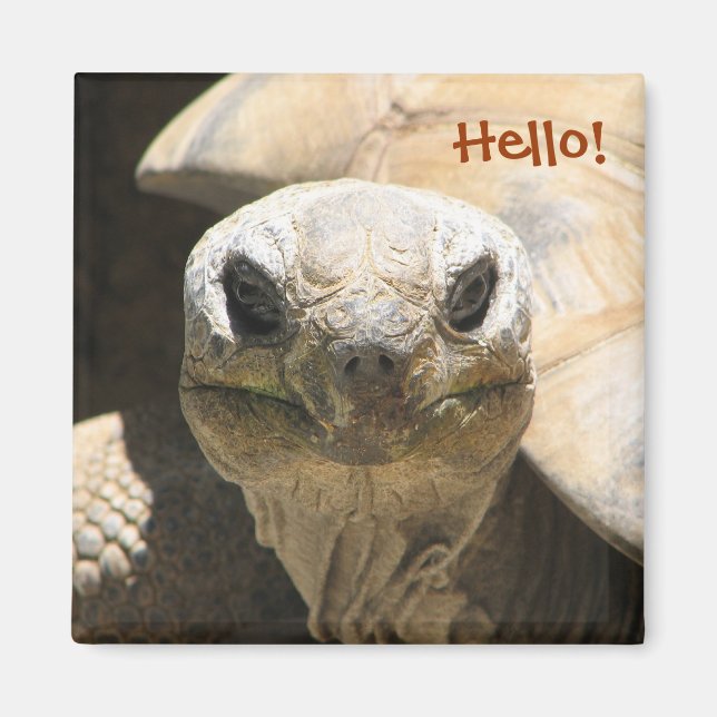 ¡Hola! Imán (Frente)