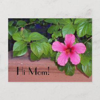 ¡Hola, mamá! Postales de flores