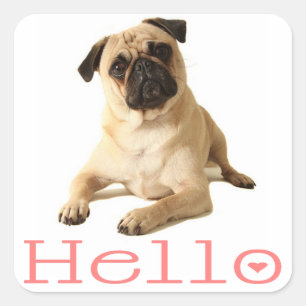 Hola Pegatina / Etiqueta de Cachorro de Perro Pug
