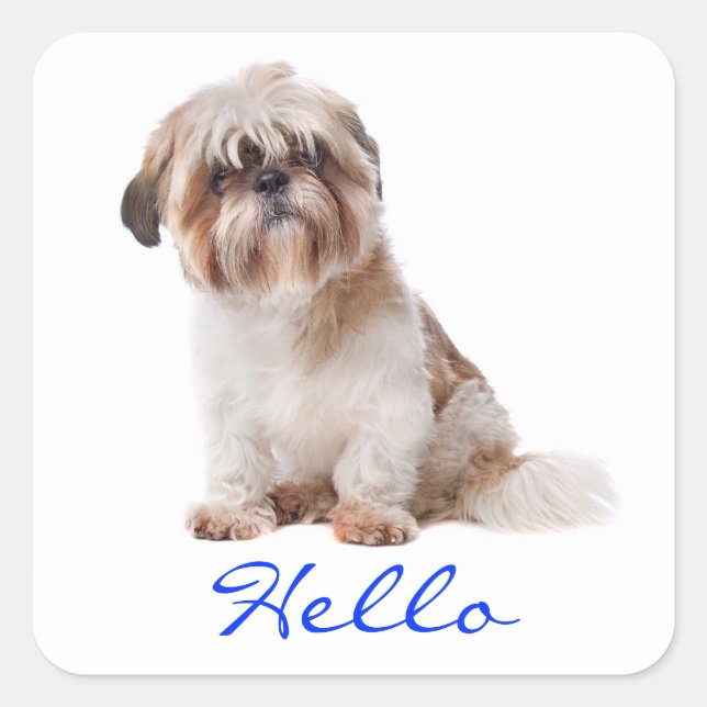 Hola Pegatinas de saludo de perro shih tzu pimient (Anverso)