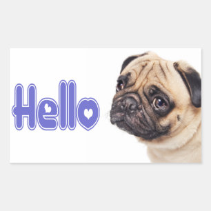 Hola Pug Cachorro Perro Sticker / Etiqueta
