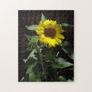 Hola Rompecabezas de Girasol Amarillo Sol