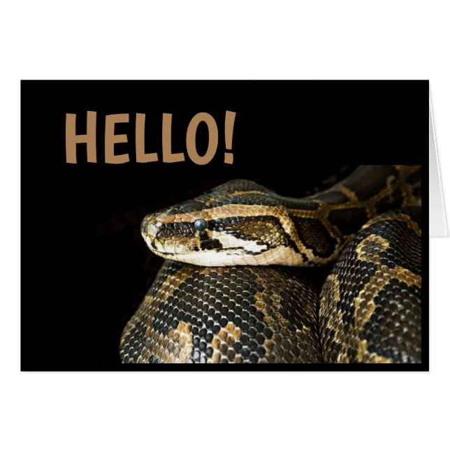 "HOLA"/ Serpiente, Tarjeta de Felicitación en Blan (Anverso (Horizontal))