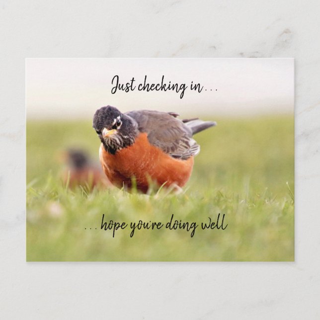 Hola: sólo marcando la postal (Anverso)