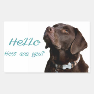 Hola Sticker Etiqueta de Labrador Retriever Negro