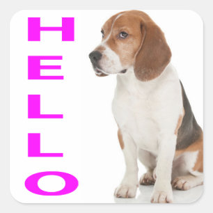 Hola Stickers / Etiqueta de saludo de cachorro de