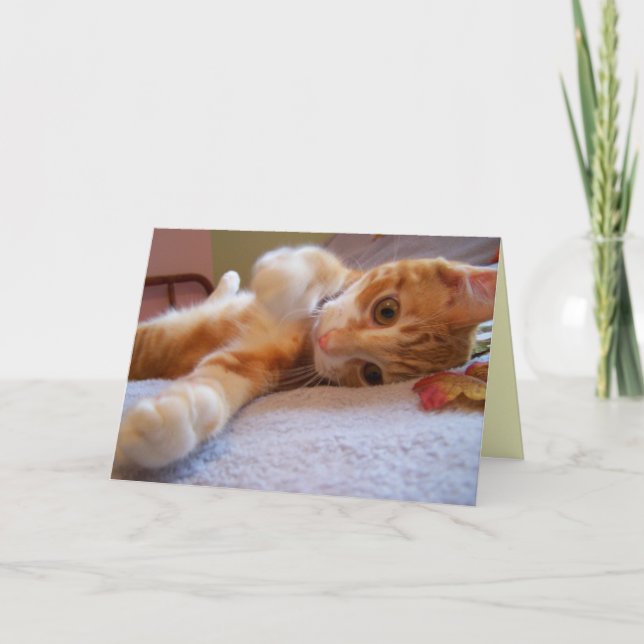 Hola tarjeta (Anverso)