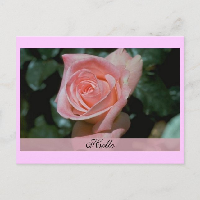 Hola tarjeta (Anverso)