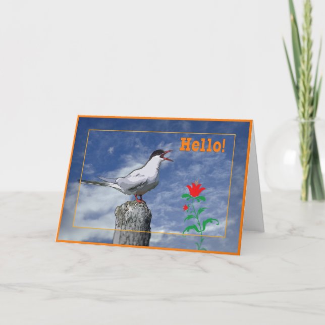 Hola tarjeta (Anverso)