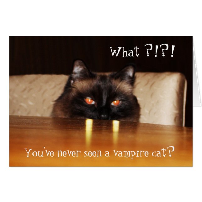 Hola Tarjeta Cute Funny Vampiro Cat Foto (Anverso (Horizontal))