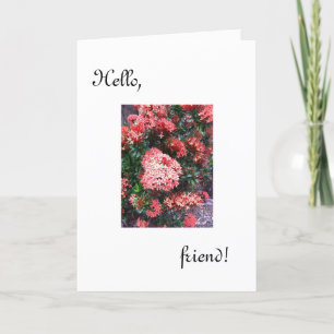 Hola tarjeta de amigo /he estado pensando en ti