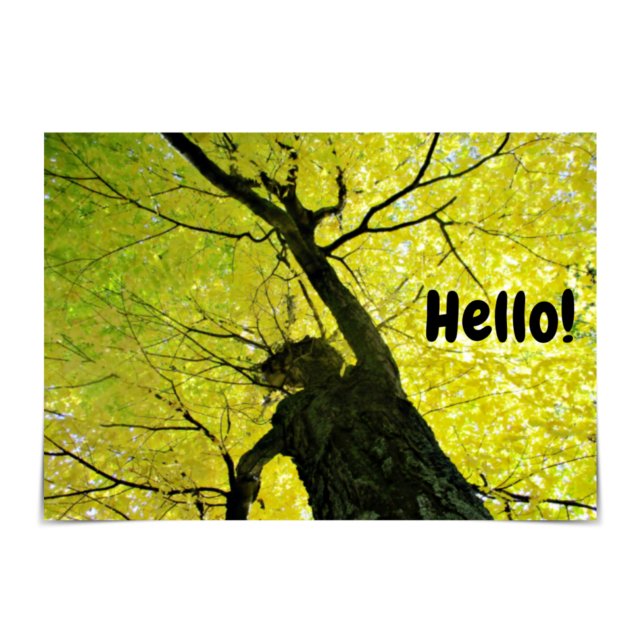 "¡Hola!" Tarjeta de árbol amigable (Subido por el creador)
