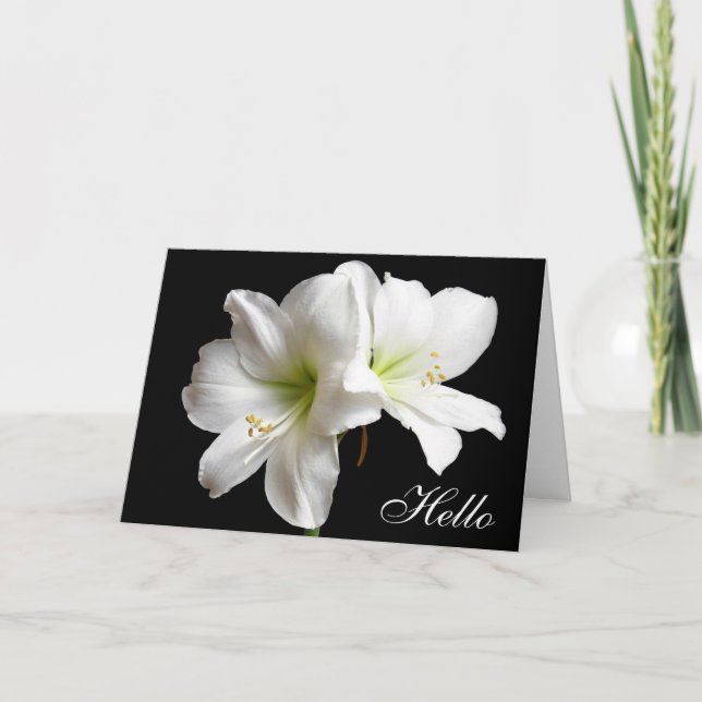 Hola tarjeta de bienvenida de flores de Lily Blanc (Anverso)