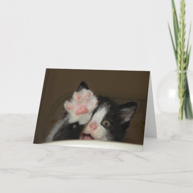 "Hola!" Tarjeta de felicitación del gatito (Anverso)