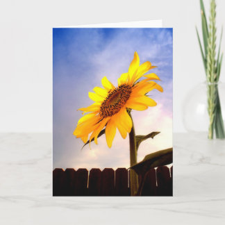 Hola tarjeta de felicitación del verano