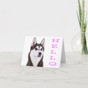 Hola Tarjeta de Nota en Blanco de Cachorro de Husk