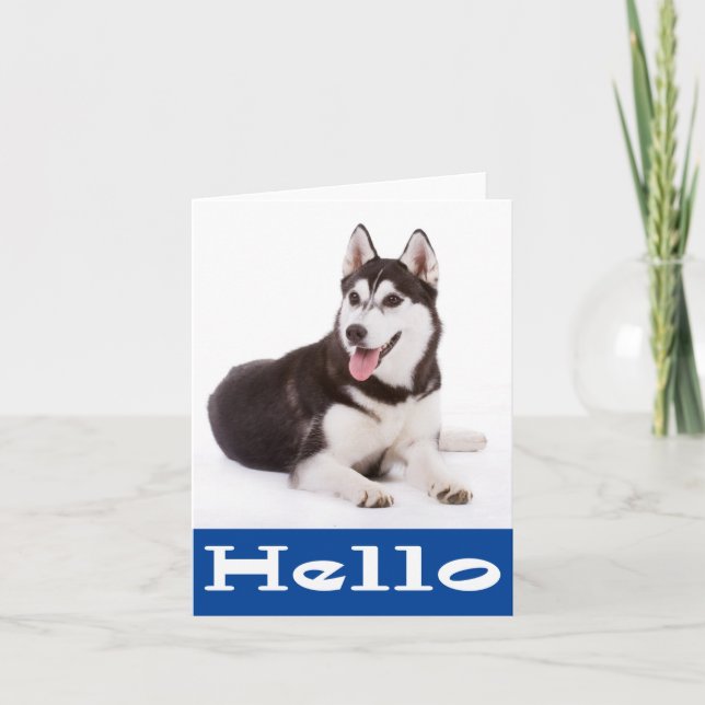 Hola, tarjeta de nota en blanco del perro Husky Pe (Anverso)
