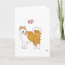 Hola - Tarjeta de perro