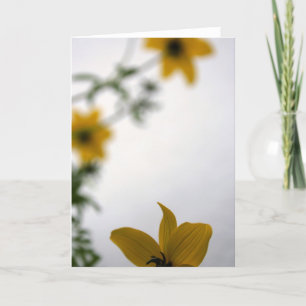 Hola, tarjeta de saludo de fotografía floral amari